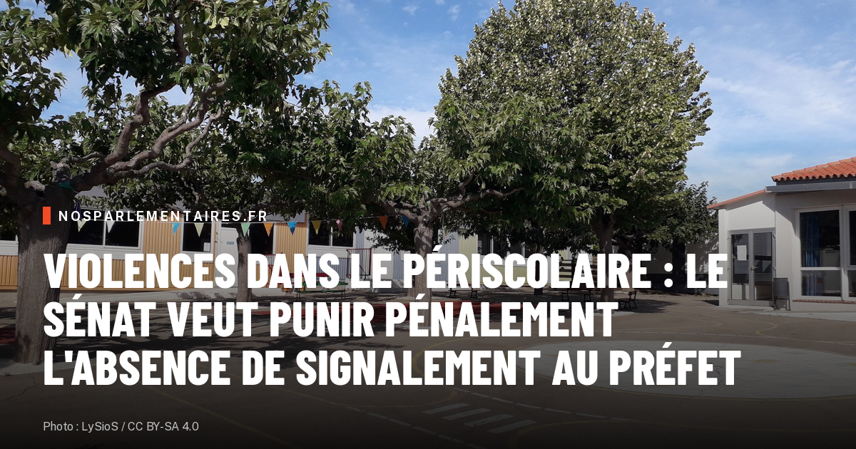 Violences dans le périscolaire : le Sénat veut punir pénalement l'absence de signalement au préfet