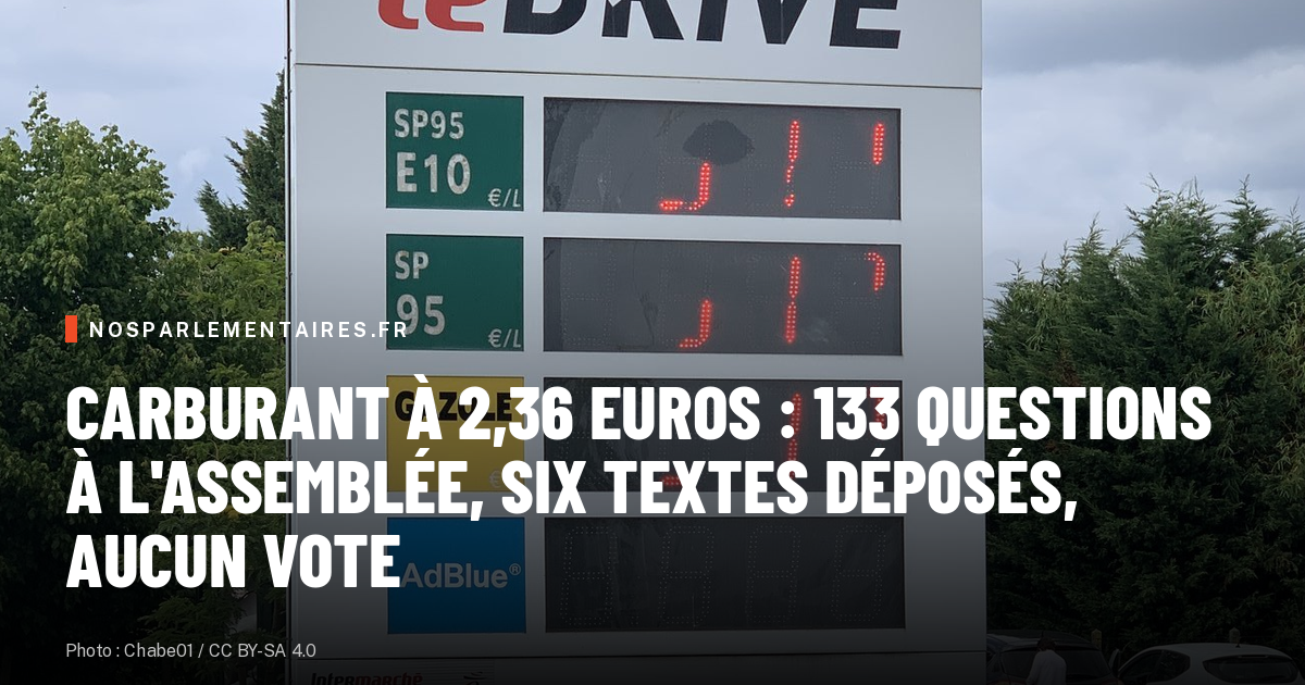 Carburant à 2,36 euros : 133 questions à l'Assemblée, six textes déposés, aucun vote