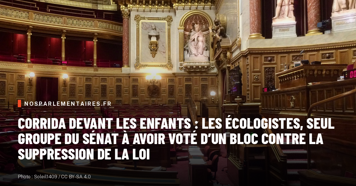 Corrida devant les enfants : les Écologistes, seul groupe du Sénat à avoir voté d’un bloc contre la suppression de la loi