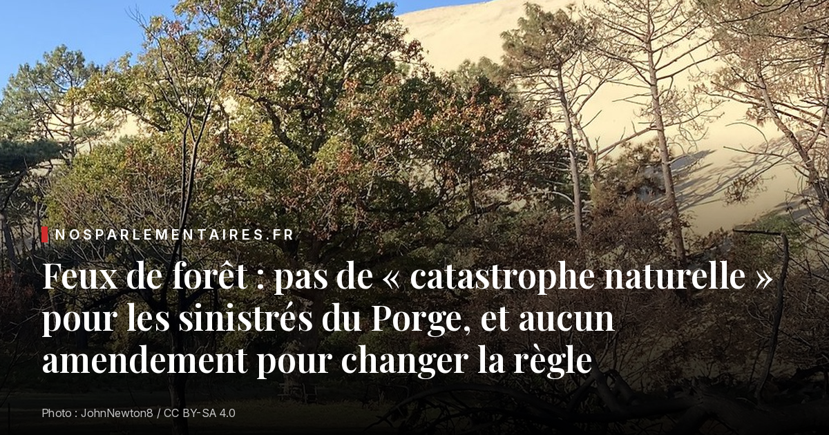 Feux de forêt : pas de « catastrophe naturelle » pour les sinistrés du Porge, et aucun amendement pour changer la règle