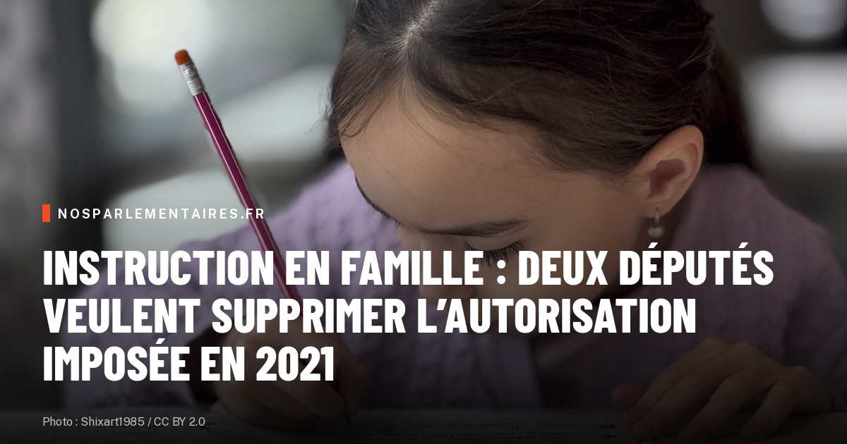 France: Parliamentary Report Urges Return to Freedom of Homeschooling