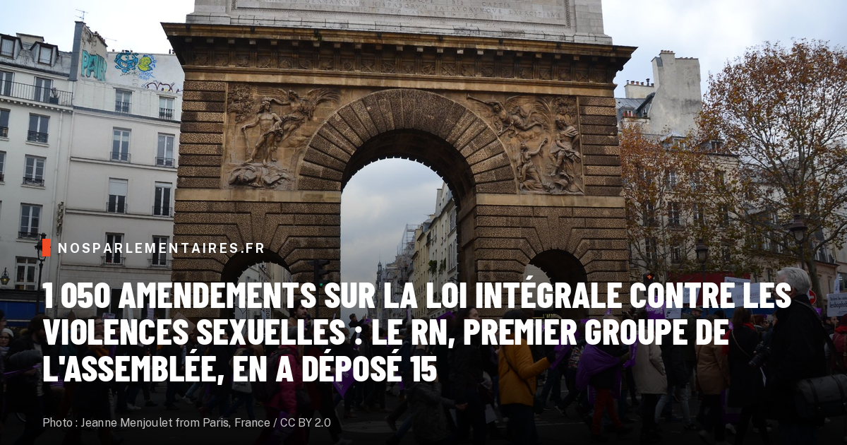 1 050 amendements sur la loi intégrale contre les violences sexuelles : le RN, premier groupe de l'Assemblée, en a déposé 15