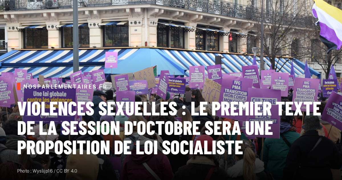 Violences sexuelles : le premier texte de la session d'octobre sera une proposition de loi socialiste