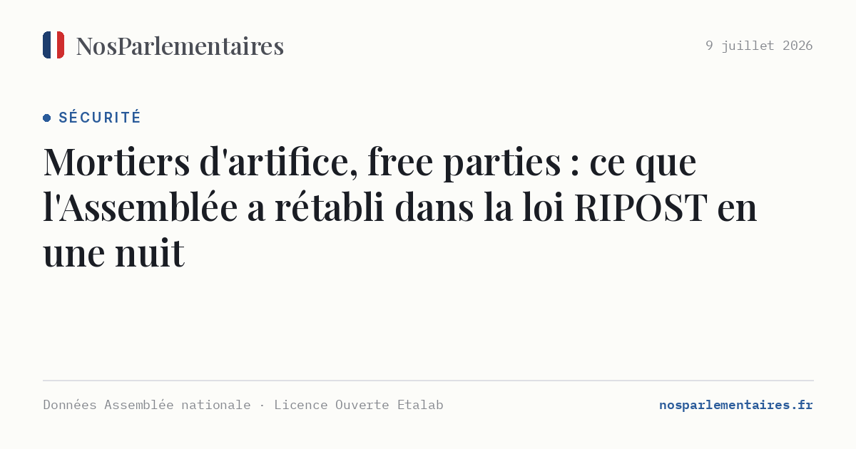 Mortiers d'artifice, free parties : ce que l'Assemblée a rétabli dans la loi RIPOST en une nuit