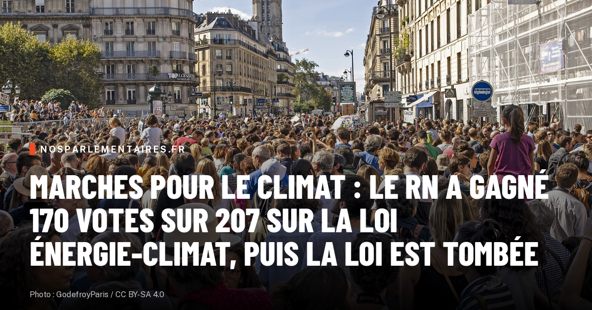 Marches pour le climat : le RN a gagné 170 votes sur 207 sur la loi énergie-climat, puis la loi est tombée