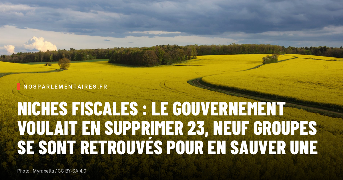 Niches fiscales : le gouvernement voulait en supprimer 23, neuf groupes se sont retrouvés pour en sauver une