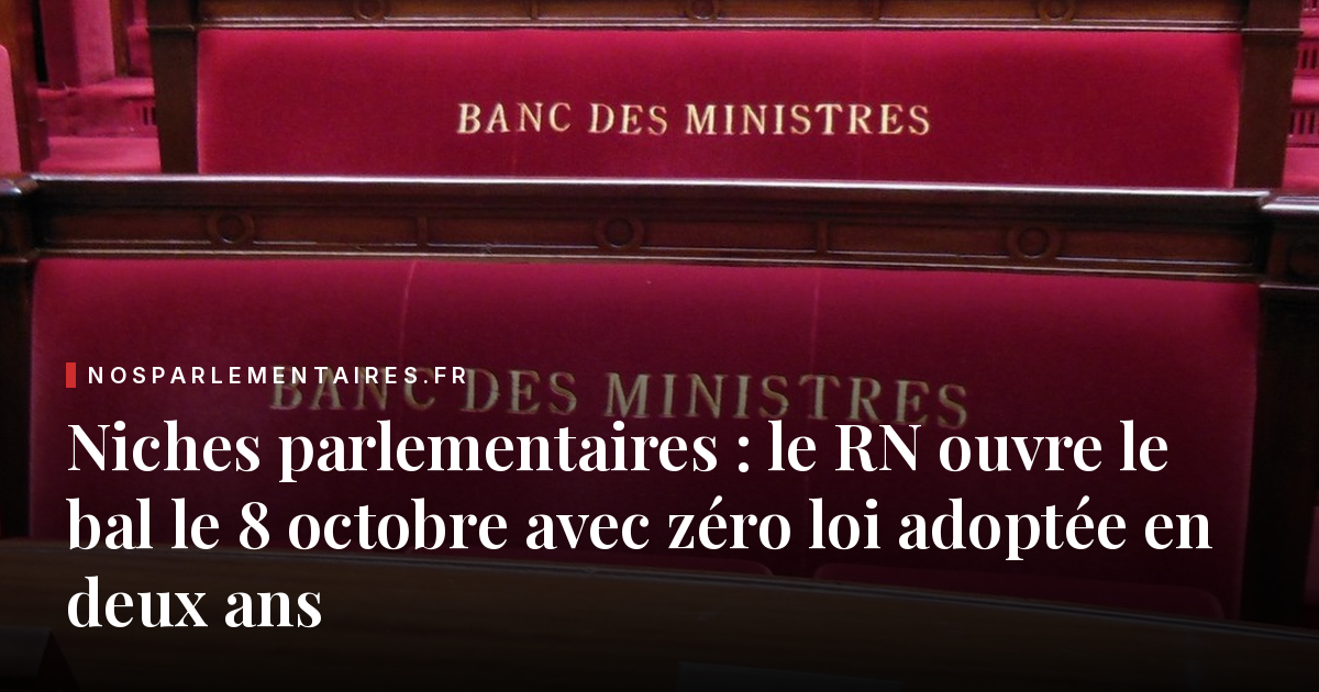Niches parlementaires : le RN ouvre le bal le 8 octobre avec zéro loi adoptée en deux ans