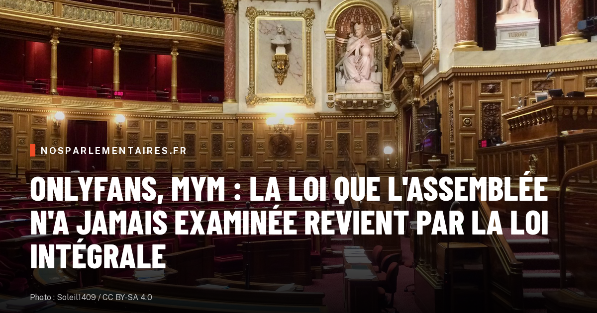 OnlyFans, MYM : la loi que l'Assemblée n'a jamais examinée revient par la loi intégrale