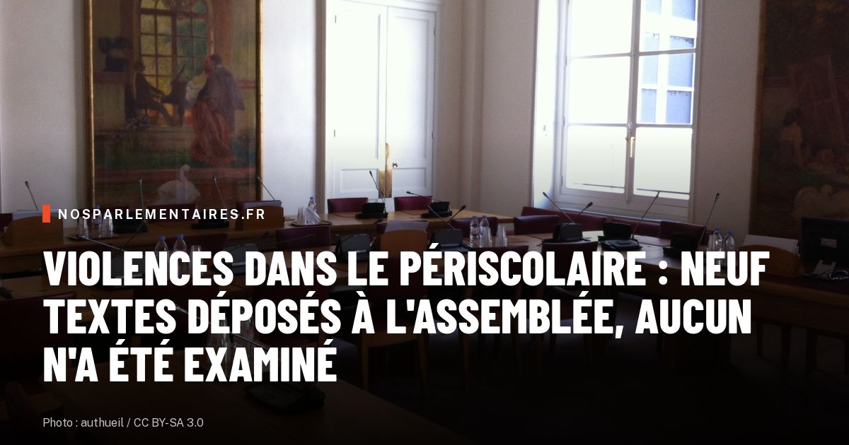 Violences dans le périscolaire : neuf textes déposés à l'Assemblée, aucun n'a été examiné