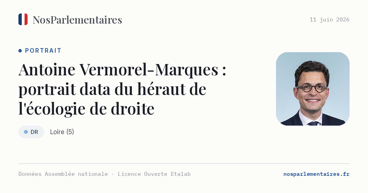 Antoine Vermorel-Marques, le pari de l'écologie de droite : portrait du nouveau patron des LR de la Loire