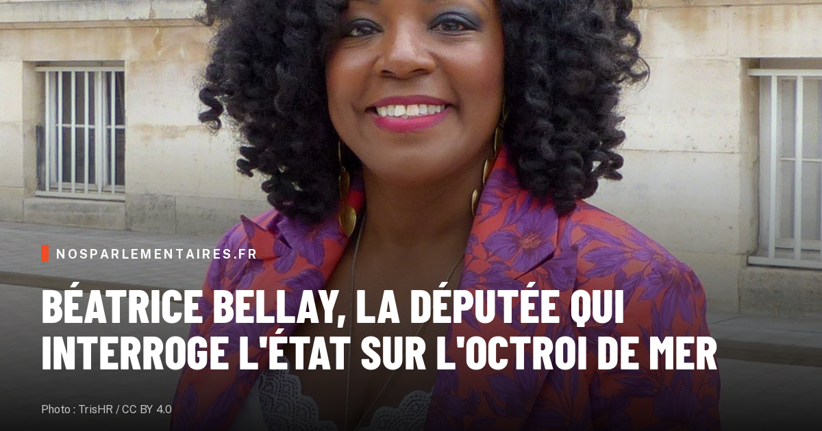 Béatrice Bellay, 17 questions sur l'octroi de mer en un jour : sa loi contre la vie chère attend au Sénat depuis 20 mois