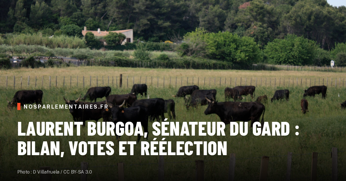 Laurent Burgoa, sénateur du Gard, réécrit le texte sur les soins ultramarins