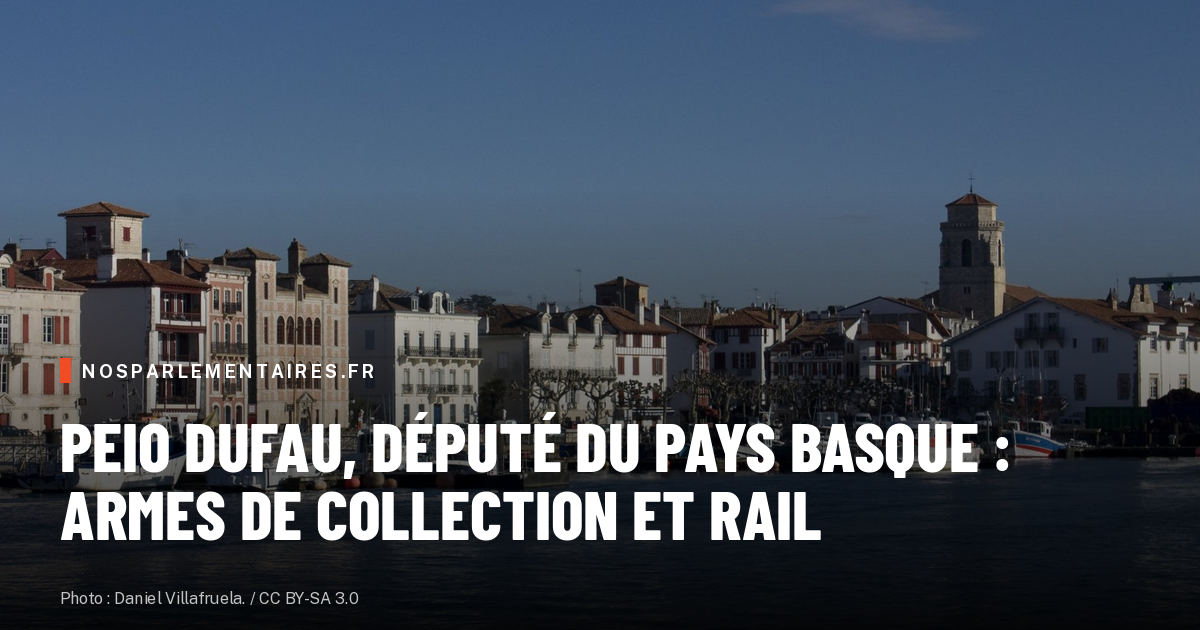 Peio Dufau veut sortir les armes à feu anciennes de la vente libre