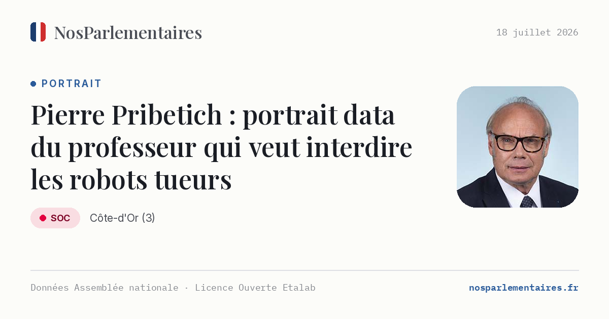 Pierre Pribetich, le professeur qui veut interdire les robots tueurs : portrait du député PS entré à l'Assemblée à 67 ans