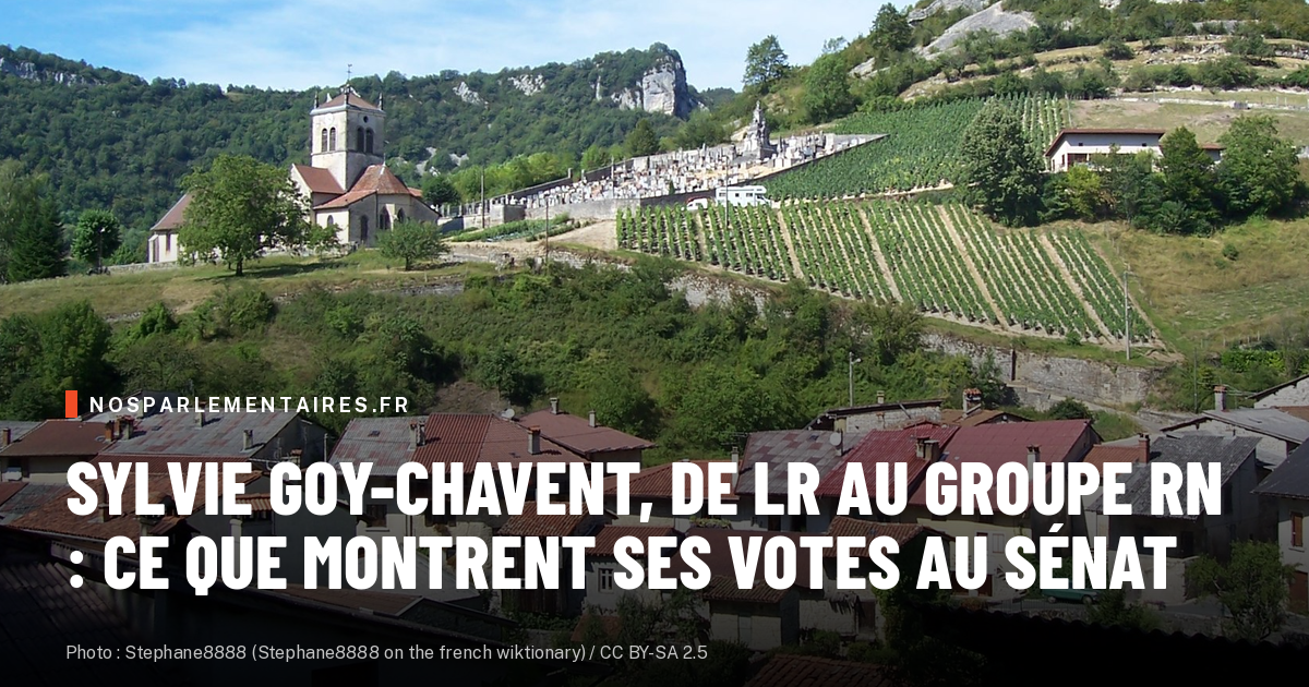 Sylvie Goy-Chavent, désormais au groupe RN du Sénat, a voté 101 fois sur 107 avec LR face à lui