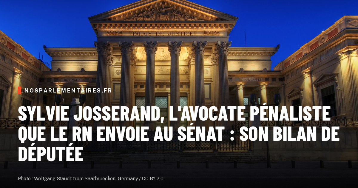 Sylvie Josserand, l'avocate pénaliste que le RN envoie au Sénat : son bilan de députée