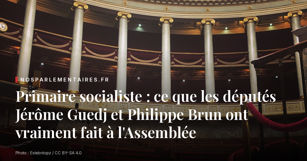 Primaire socialiste : ce que les députés Jérôme Guedj et Philippe Brun ont vraiment fait à l'Assemblée