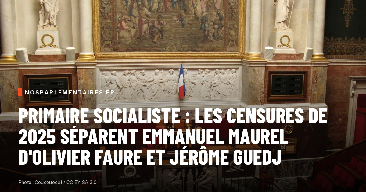 Primaire socialiste : les censures de 2025 séparent Emmanuel Maurel d'Olivier Faure et Jérôme Guedj