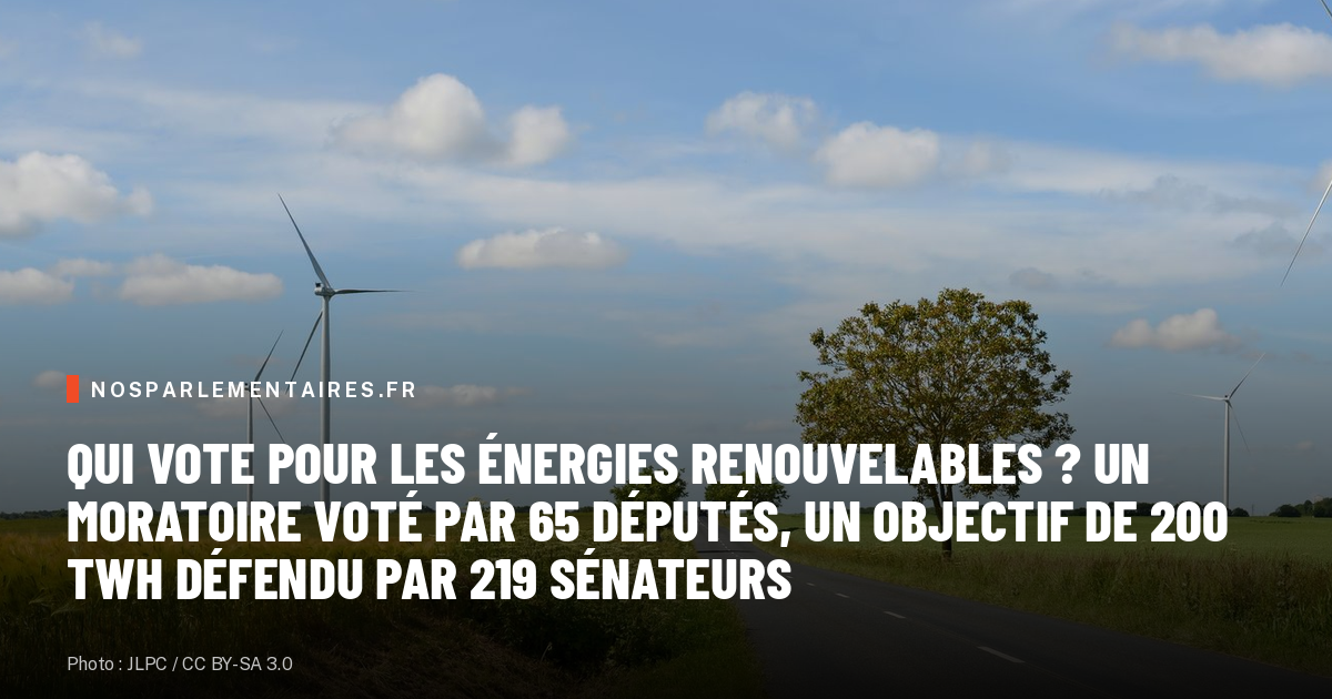 Qui vote pour les énergies renouvelables ? Un moratoire voté par 65 députés, un objectif de 200 TWh défendu par 219 sénateurs