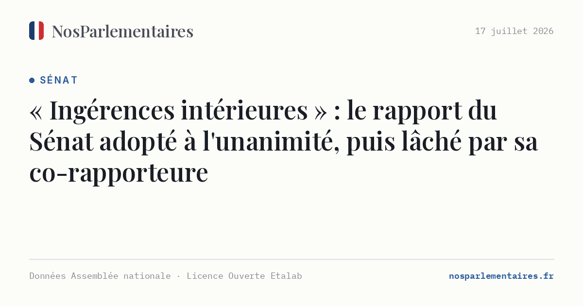 « Ingérences intérieures » : le rapport du Sénat adopté à l'unanimité, puis lâché par sa co-rapporteure