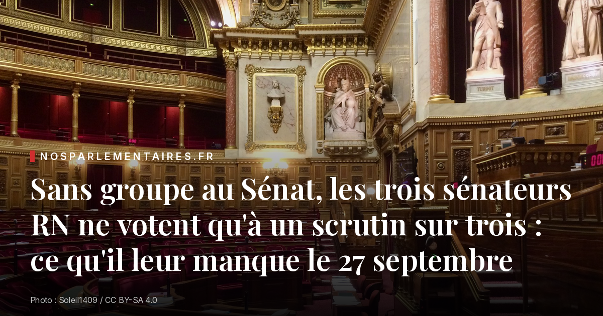 Sans groupe au Sénat, les trois sénateurs RN ne votent qu'à un scrutin sur trois : ce qu'il leur manque le 27 septembre