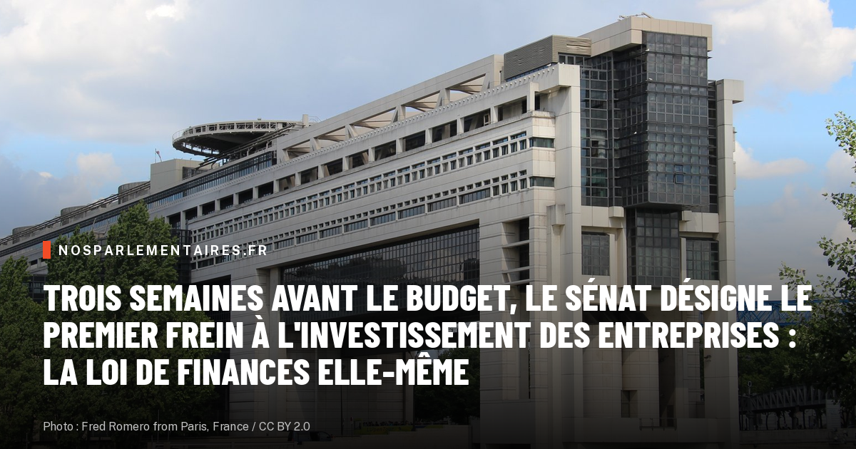 Trois semaines avant le budget, le Sénat désigne le premier frein à l'investissement des entreprises : la loi de finances elle-même